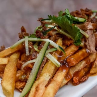 Peking Duck Fries 北京鴨薯條